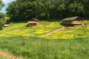 Brownscombe safari tents perfect for families and group accommodation in Devon