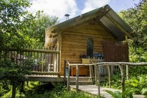 owlet cabin in Devon