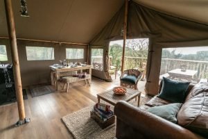 Exe Valley Glamping1
